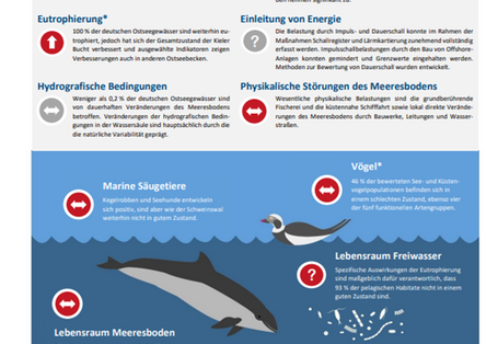 Auf der Grafik werden die Bewertungsergebnisse der nationalen Zustandsberichte für Ostsee für die Jahre 2016-2021 dargestellt. 