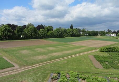 Dauerversuch Bodennutzung