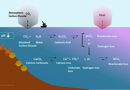 The highly simplified illustration shows the chemical equilibrium reaction of CO₂ with the formation of carbonic acid from the reaction of CO₂ with water and carbonate ions in the sea.