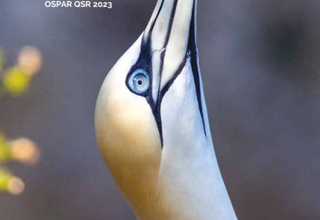 Auf dem Bild wird die Titelseite des OSPAR QSR 2023 (ein nach oben gereckter Hals und Kopf eines Basstölpel) dargestellt. 