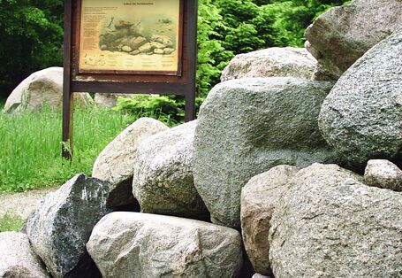 Blick auf Infotafel "Leben im Steinhaufen"