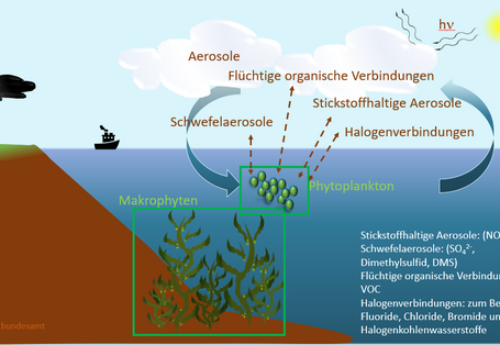 Vereinfachte Darstellung des Gasaustauschs von Aerosolen über der Meeresoberfläche.