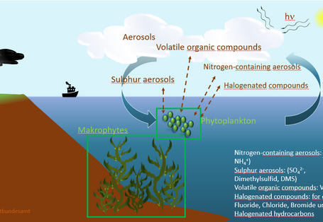Simplified illustration of the gas exchange of aerosols above the sea surface.