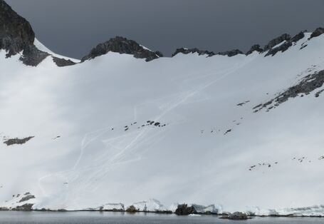 Tourismus hinterlässt Spuren – so wie diese Trampelpfade bei Orne Harbor