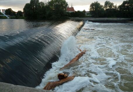 Auf dem Bild wird die Wehr in der Mulde bei Dessau dargestellt