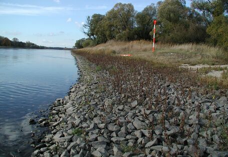 Auf dem Bild wird die Deckwerk an der Elbe dargestellt