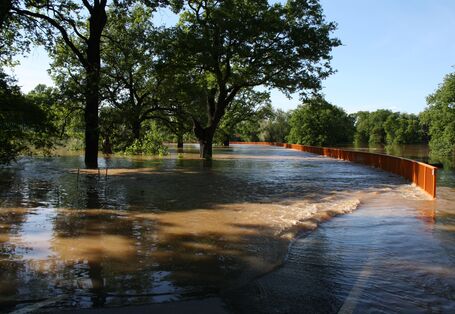 Überflutete Elbaue bei Dessau.