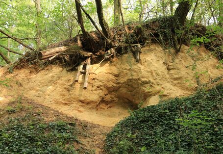 Bodenaufschluss, Station 3 Klausdorfer Tongruben