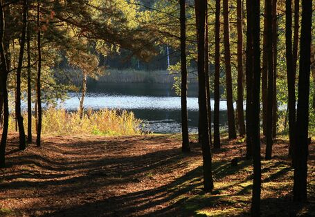 Gewässer Faules Luch