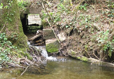 Naturpark "Schwäbisch-Fränkischer Wald"