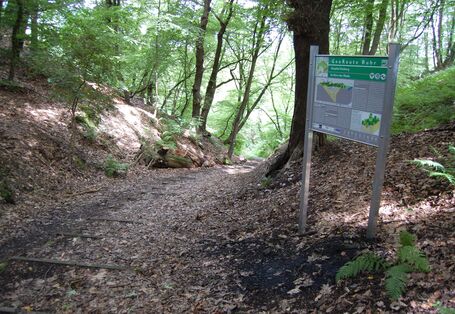 Buchwald mit Infoschild am Kaisberg