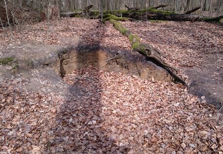 Grube im Wohldorfer Wald