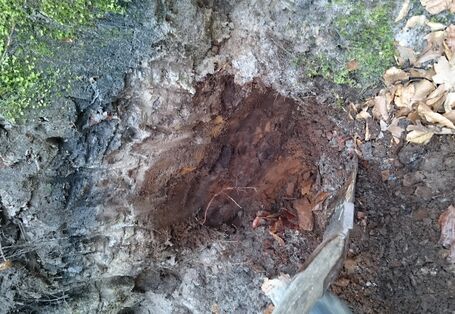 Durch Gruben wird der Boden erlebbar gemacht.