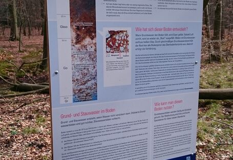 Foto einer Infotafel des Lehrpfades Wohldorfer Wald