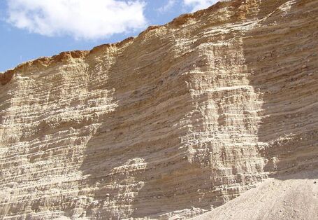 Althüttendorfer Kegelsander