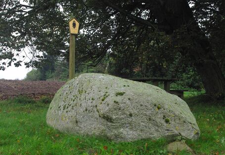 Findlling in Neugrimnitz