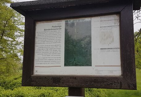 Infotafel "Podsolige Bänderbraunerde"