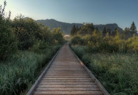 Panoramablick im Sommer