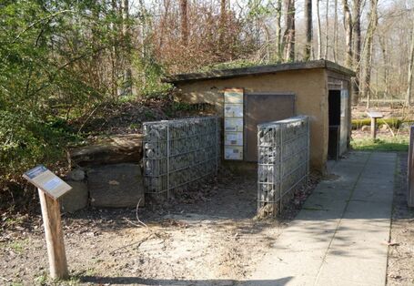 KITZ.do-Forscherstation Bodenarchiv und Bodenprofil