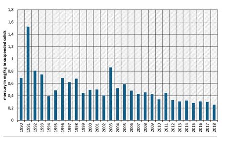 Annual average concentration of mercury