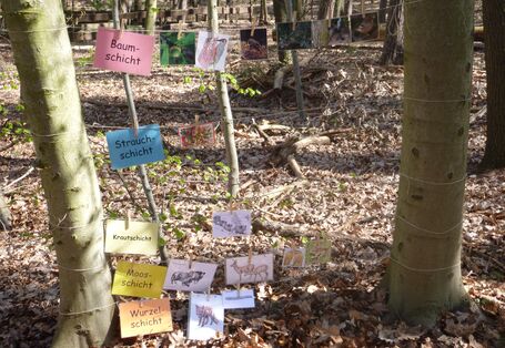 Walderlebnispfad zum Entdecken, Spielen und Forschen