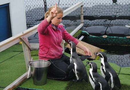 Doktorandin Tabea Lange beim medizinischen: Training "Flügelkontrolle"