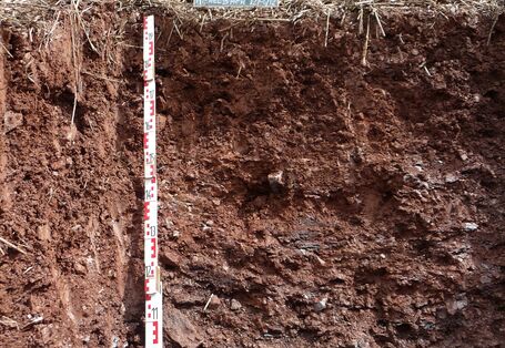 Das Bodenprofil am Standort Alzenau-Michelbach, Braunerde