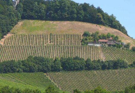 Die Landschaft an der Station Handthal