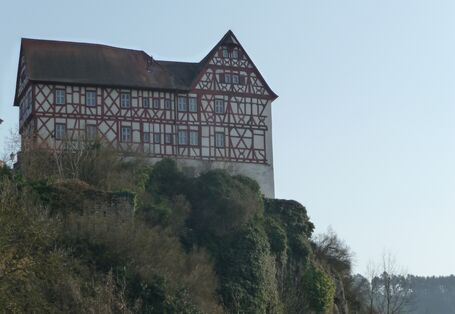 Blick auf das Schloss Homburg
