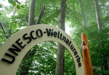 Fenster ins UNESCO-Weltnaturerbe