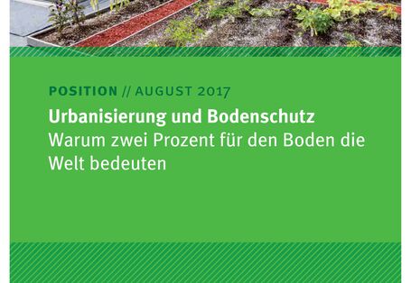 Bepflanztes Beet auf einem Wohnhausdach