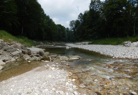 Bild von einem Fluss in Deutschland