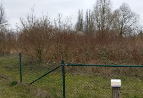 Station 3:  "Ein Boden hat Gedächtnis"  