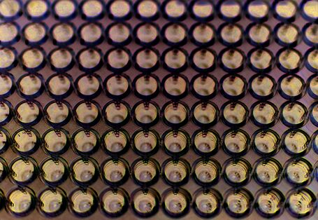 Probenuntersuchung im Labor