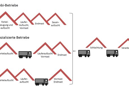Schematische Darstellung verschiedener Herstellerketten der Schweinefleischerzeugung. Es werden zwei Formen spezialisierter Betriebe und ein Kombi-Betrieb dargestellt.