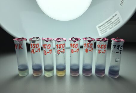 Das Bild zeigt acht verschiedene Röhrchen, die in einer Reihe angeordnet und mit Flüssigkeit gefüllt sind. Die Flüssigkeiten sind unterschiedlicher Färbung, die nach rechts hin dunkler wird.