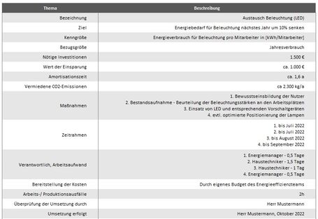 Grafik Element 6: Aktionsplan
