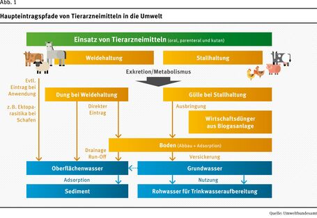 Das Fließschema zeigt die Wege des Eintrags von Tierarzneimitteln in die Umwelt. Eintragsmöglichkeiten sind die Stallhaltung und die Weidehaltung. Gülle und Dung können durch Weidetierhaltung entweder direkt in die Umwelt gelangen, oder als Wirtschaftsdünger auf landwirtschaftlichen Flächen ausgebracht werden. Dabei können Böden, Oberflächen-, Grund- und letztendlich auch Trinkwasser Tierarzneimittelrückstände enthalten.