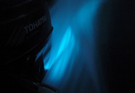 Nachtaufnahme, ein Bootsmotor zieht eine blau leuchtende Spur hinter sich her.  