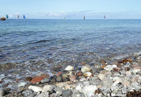 Steinstrand mit Blick auf Segelboote.