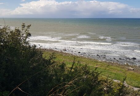 Blick auf See, mit Gräsern bewachsener Strand.