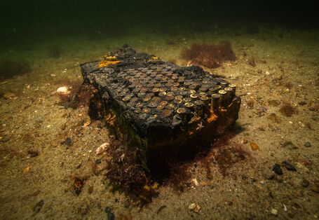 Korrodierendes Munitionspaket auf dem Meeresboden.