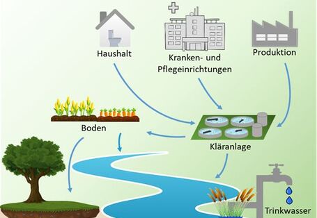Schematic representation of the entry routes of human pharmaceuticals from households, hospitals and care facilities as well as production via wastewater treatment plants into water bodies.