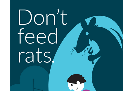 Don't feed rats