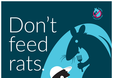 Don't feed rats
