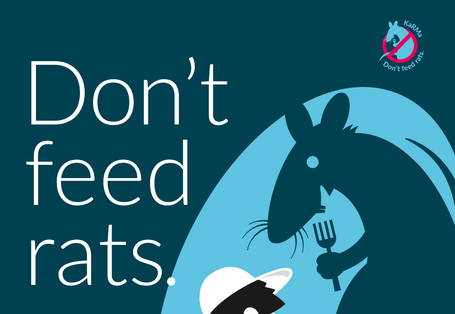 Don't feed rats