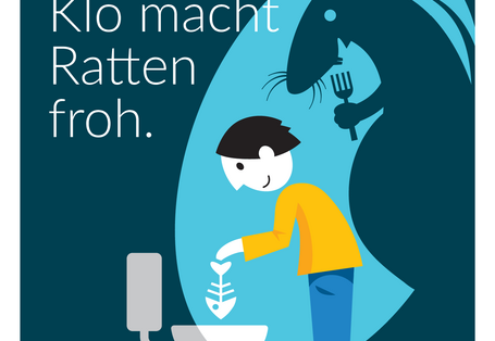 Essen im Klo macht Ratten froh