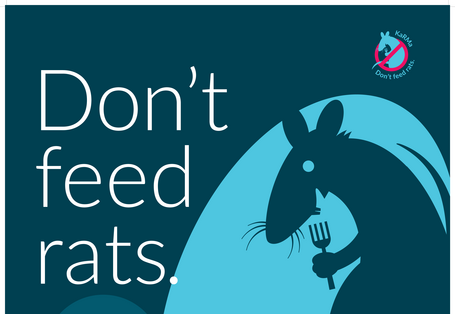 Don't feed rats