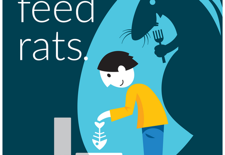 Don't feed rats