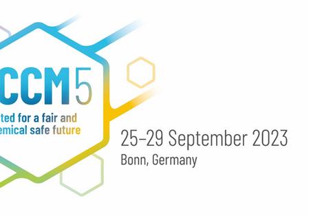 Logo der ICCM5 